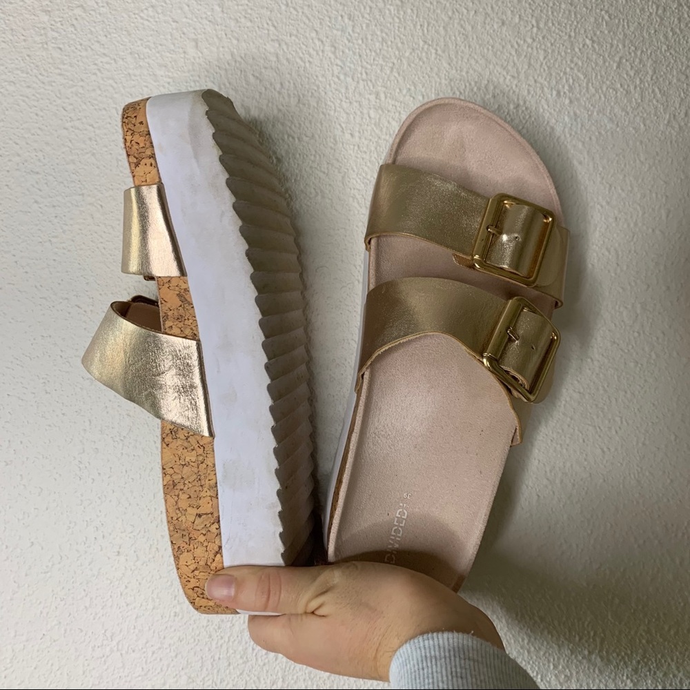 Platform Slides